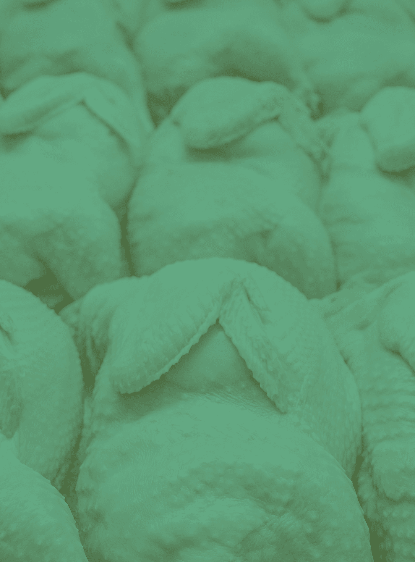 Livestock & Other Commodities